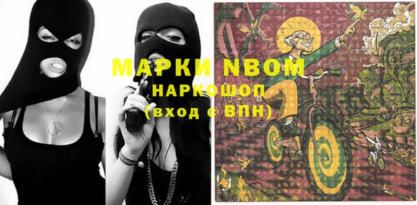 гашик Майский