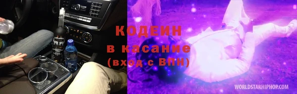 гашик Майский
