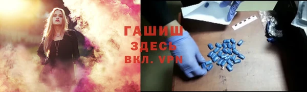 гашик Майский
