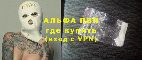 гашик Майский