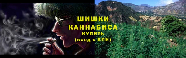 гашик Майский