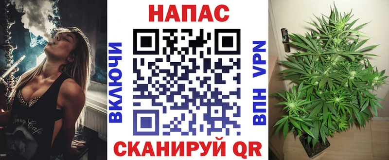 Шишки марихуана сатива  Никольск 
